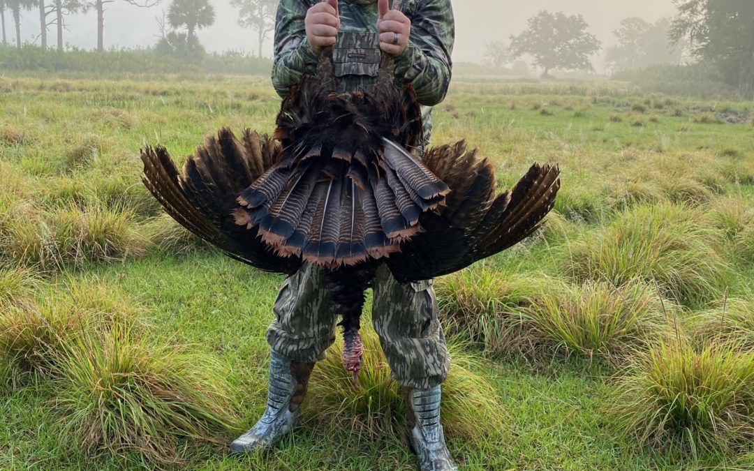 Osceola Turkey – 3 Day Hunt