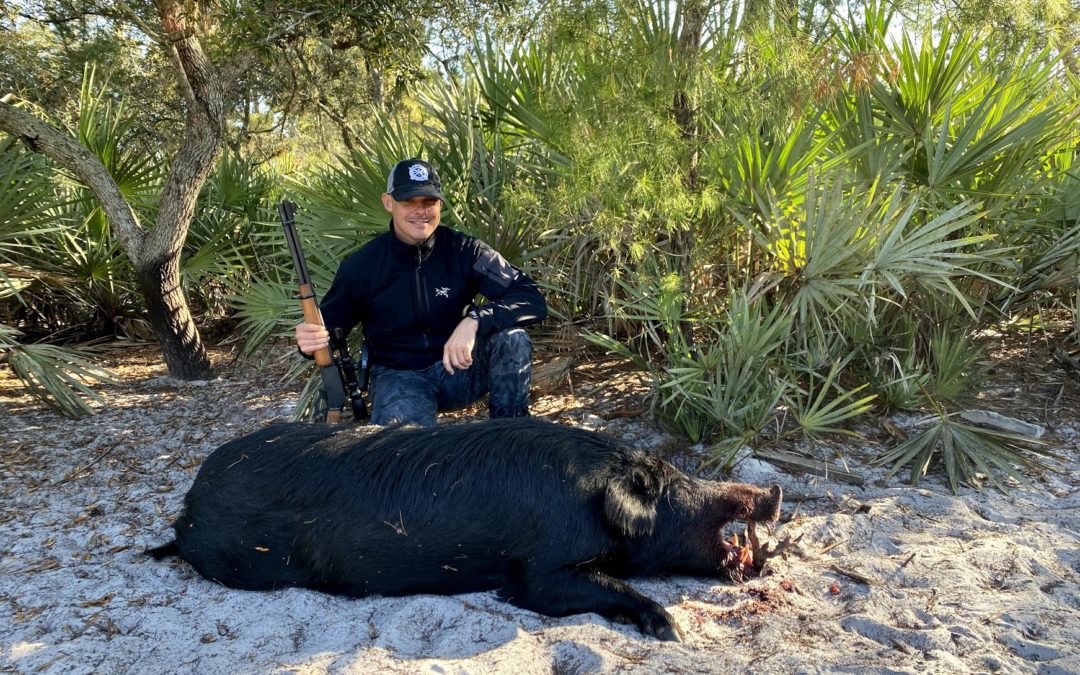 Wild Hog – 1 Day Hunt